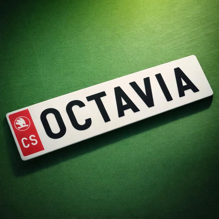 SPZ / RZ na přání | Vlastní text a barvy