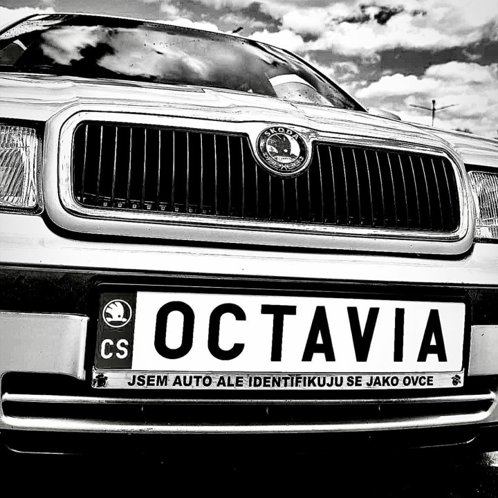 SPZ / RZ na přání | Vlastní text a barvy