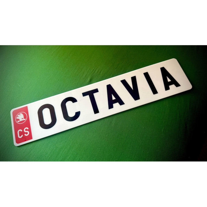 SPZ / RZ na přání | Vlastní text a barvy