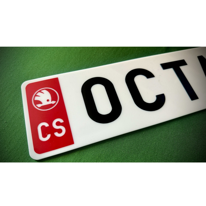 SPZ / RZ na přání | Vlastní text a barvy