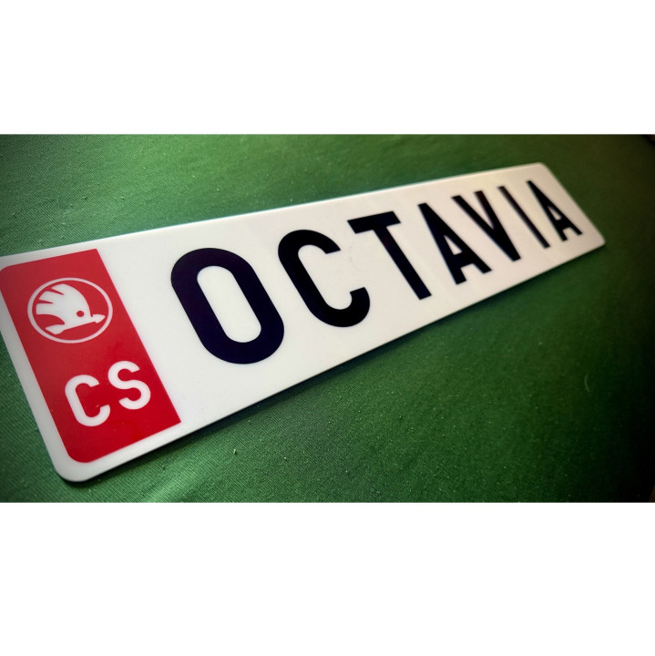 SPZ / RZ na přání | Vlastní text a barvy