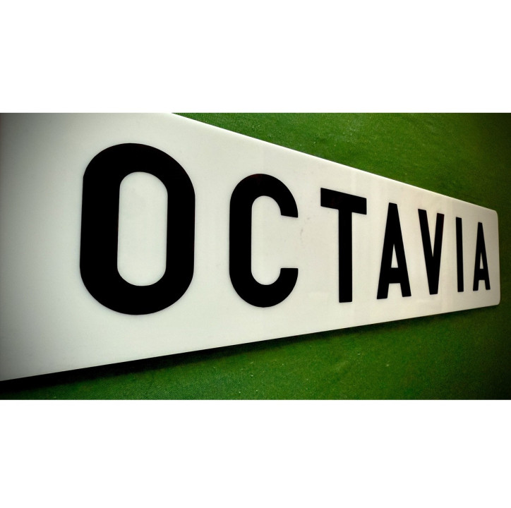 SPZ / RZ na přání | Vlastní text a barvy