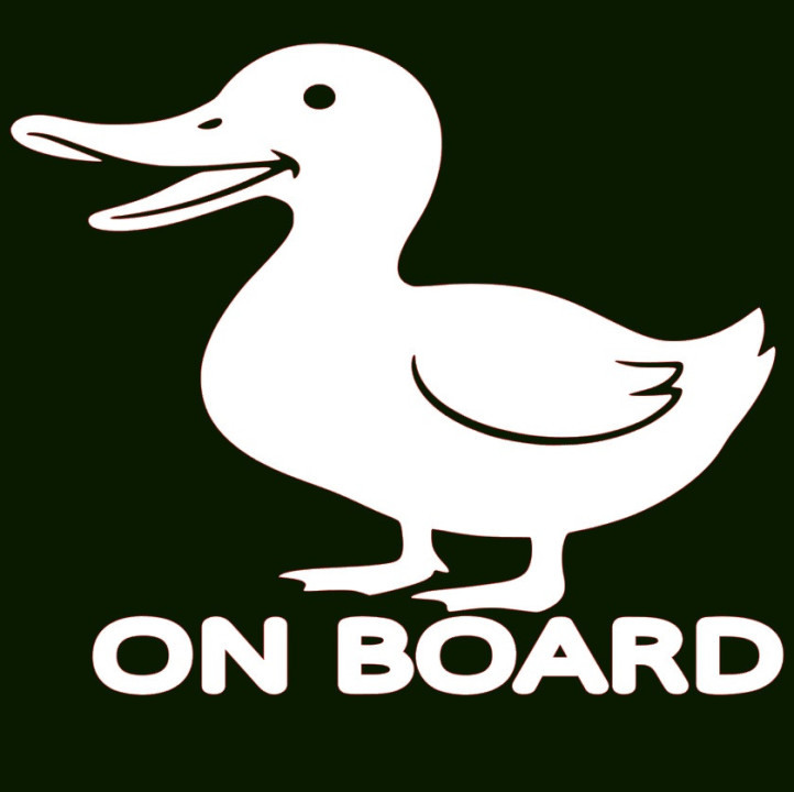 Samolepka DUCK ON BOARD – Meme kachna na auto | potiskle.cz