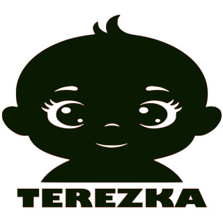 Samolepka [JMÉNO] V AUTĚ – Kdo je šéf posádky? | potiskle.cz