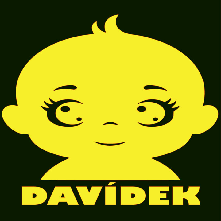 Samolepka [JMÉNO] V AUTĚ – Kdo je šéf posádky? | potiskle.cz